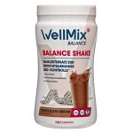 WellMix BALANCE Balance Shake Chocolate